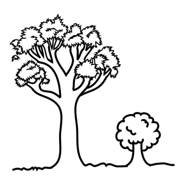 Раскраска дерево большое и маленькое