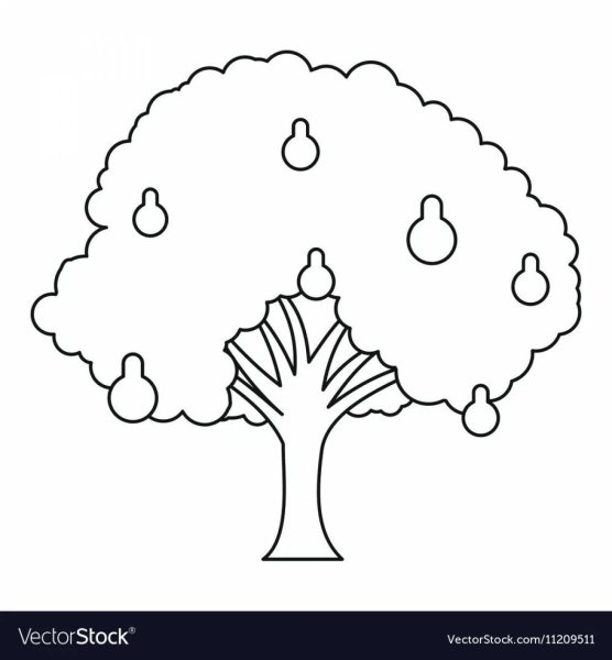 Грушевое дерево раскраска