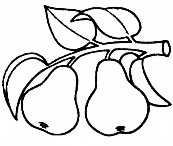 Фрукты. Раскраска