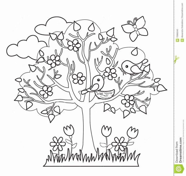 Весеннее дерево раскраска