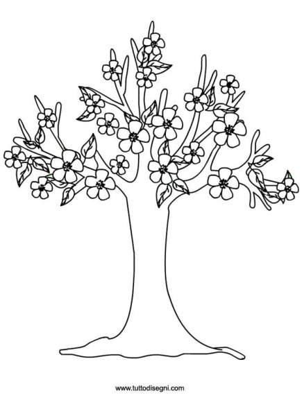 Весеннее дерево раскраска
