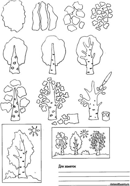 Деревья и кустарники задания