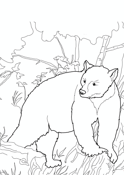 Раскраска медведь в лесу