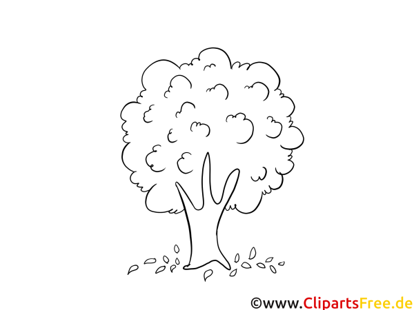 Раскраска осеннее и летнее дерево