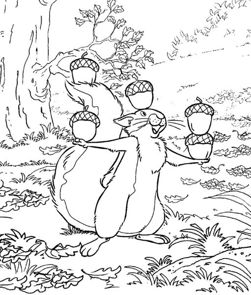 Орех раскраска