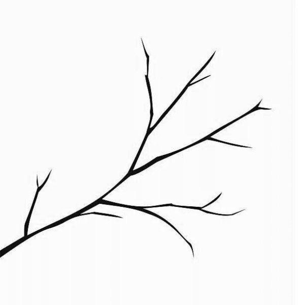 Веточка без листьев