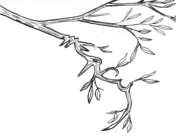 Ветка для рисования