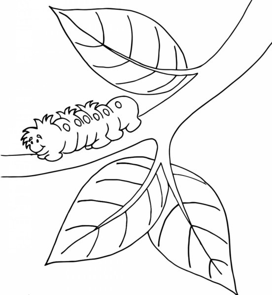 Ветка раскраска