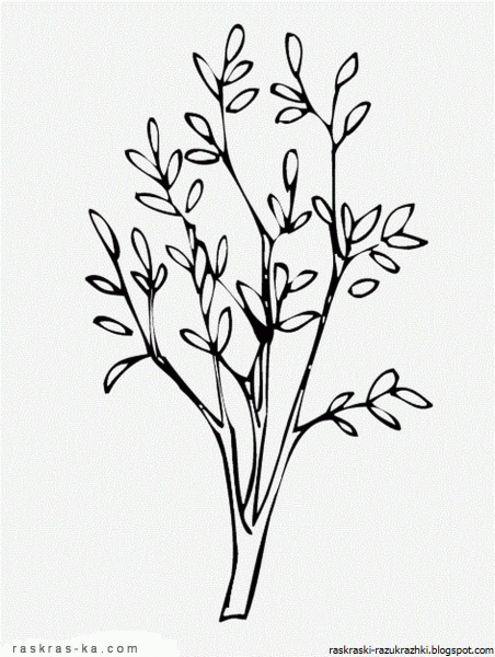 Кустарник раскраска