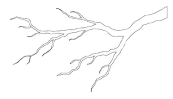 Трафарет ветки дерева