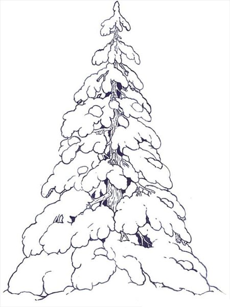 Зимнее дерево раскраска