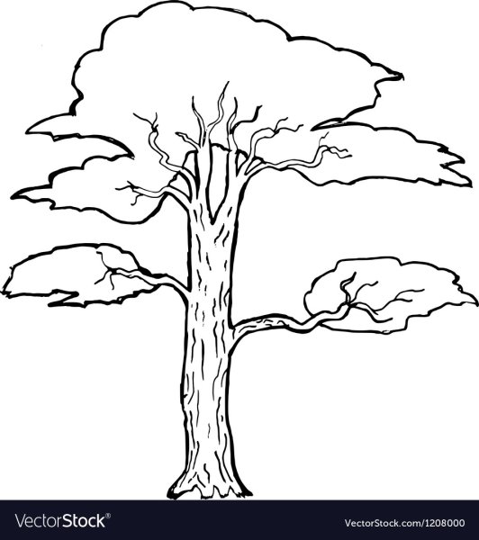 Деревья Африки раскраска