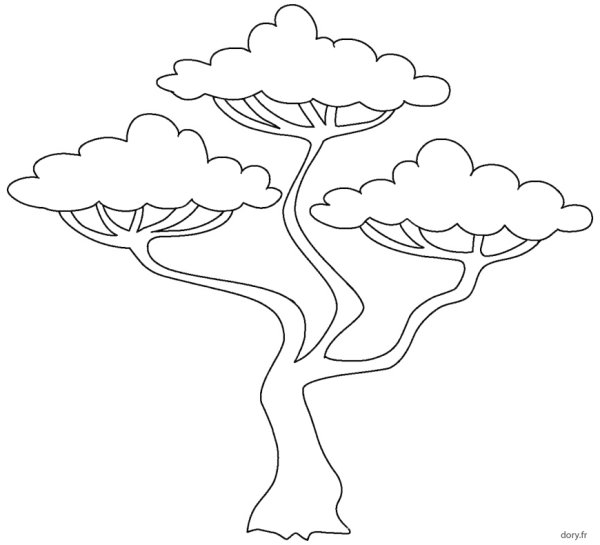 Деревья Африки раскраска