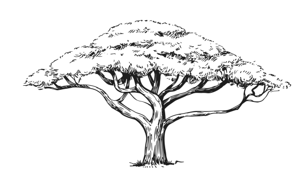 Деревья сафари карандашом