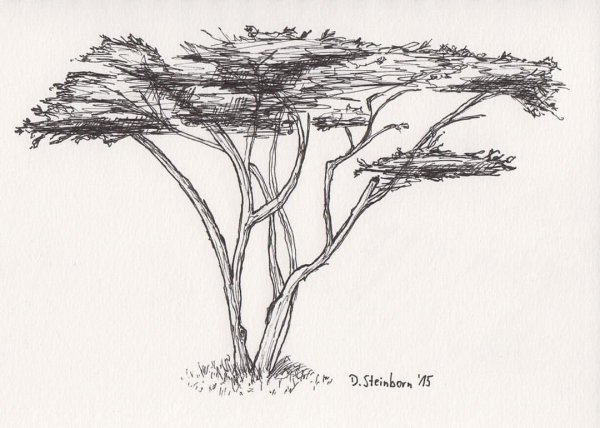 Нарисовать саванну карандашом