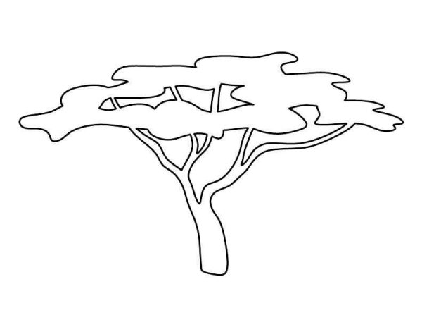 Трафареты африканских деревьев