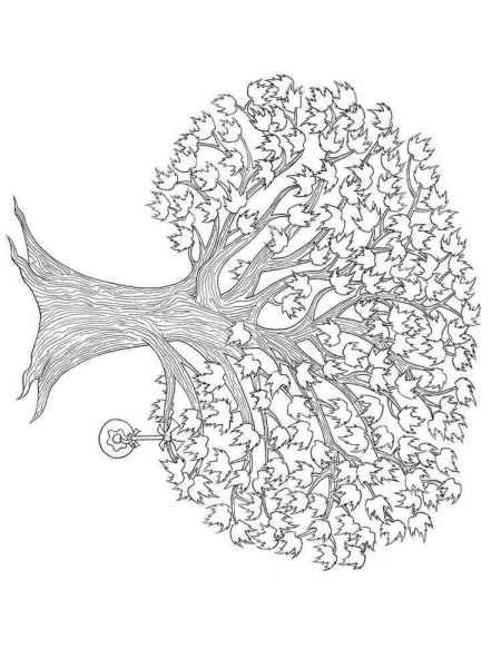 Клен раскраска