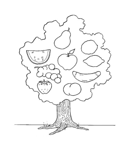 Плодовые деревья раскраска для детей