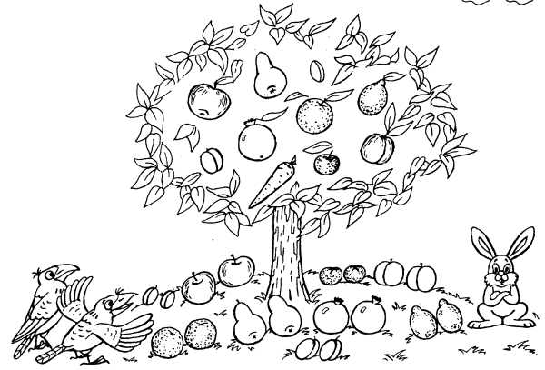 Фруктовый сад раскраска для детей
