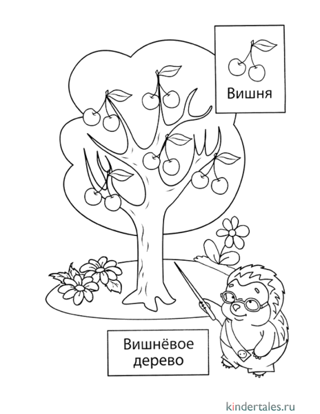 Раскраска плодовые деревья