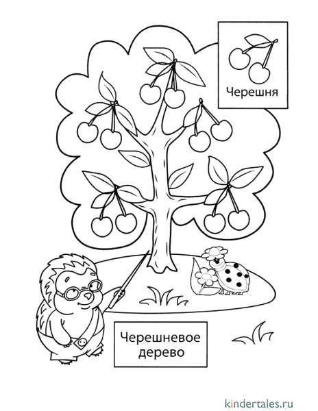 Раскраска плодовые деревья
