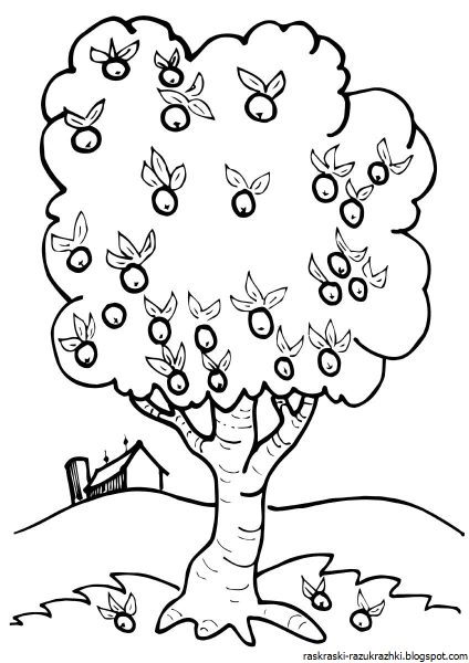 Дерево яблоня раскраска