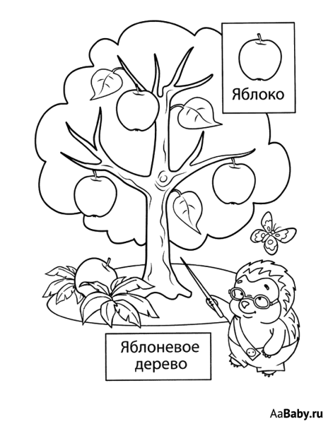 Раскраска плодовые деревья