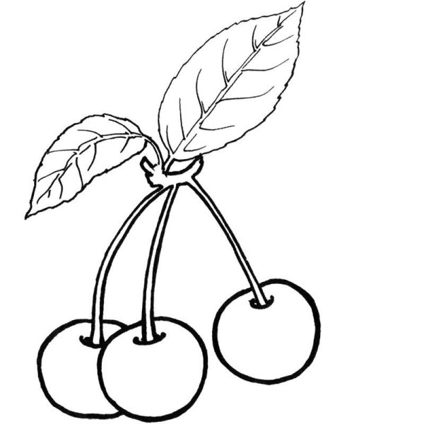 Вишенка раскраска