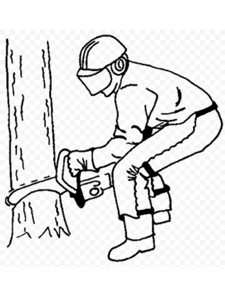 Пилит дерево