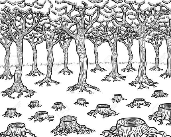 Раскраска пенек в лесу