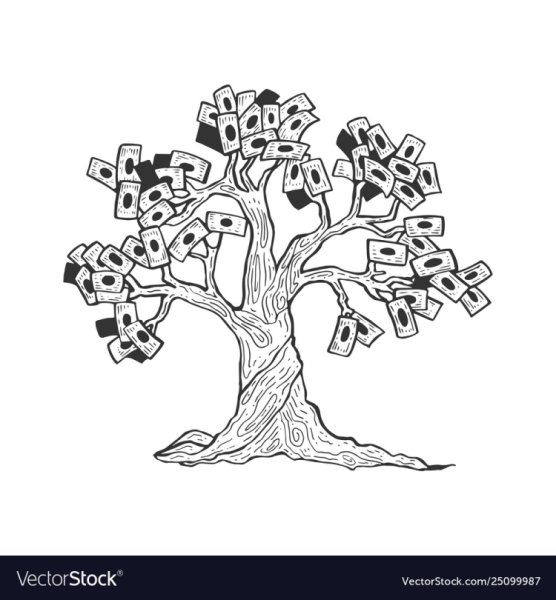 Денежное дерево черно белое