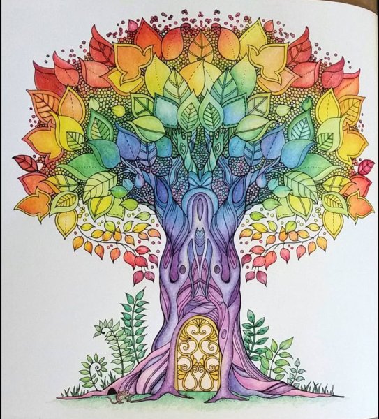 Johanna Basford Enchanted Forest