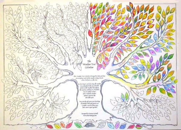 Дерево погоды для детей