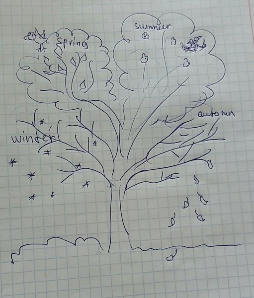 Деревья для проекта