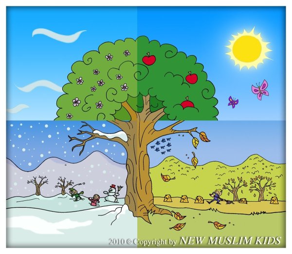 Дерево сезонов по английскому языку