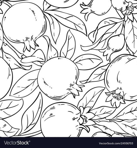 Гранат дерево раскраска