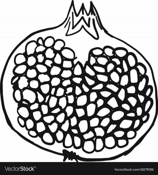 Гранат контур