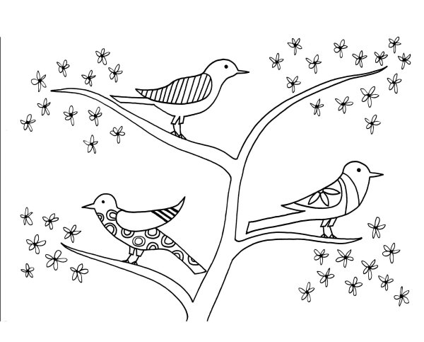 Раскраски декоративные птицы для детей