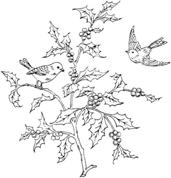 Птичка на дереве раскраска для детей