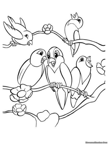 Птицы раскраска для детей