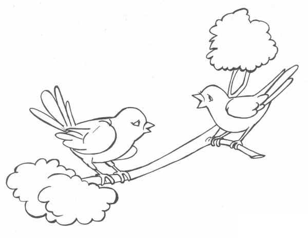 Птица на ветке раскраска для детей