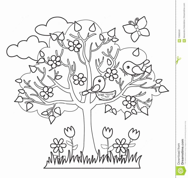 Весеннее дерево раскраска для детей