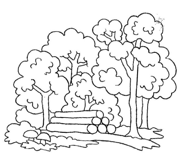 В лесу. Раскраска