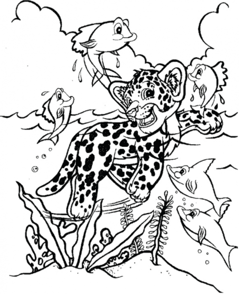 Раскраски леопардов