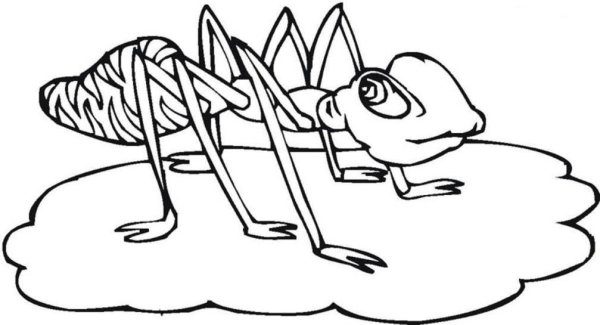 Веселый муравей раскрасить