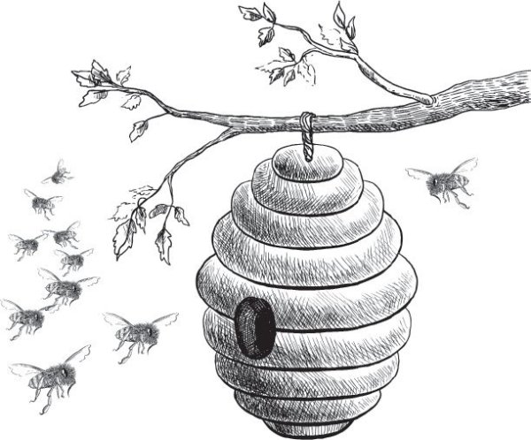 Улей раскраска