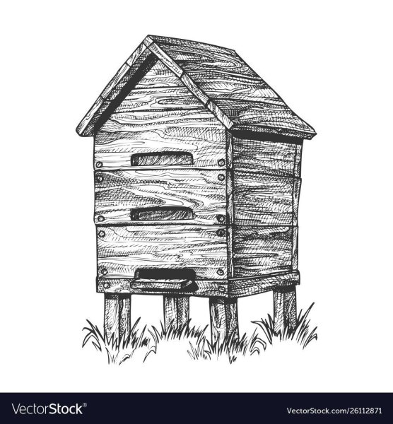 Улей черно белый