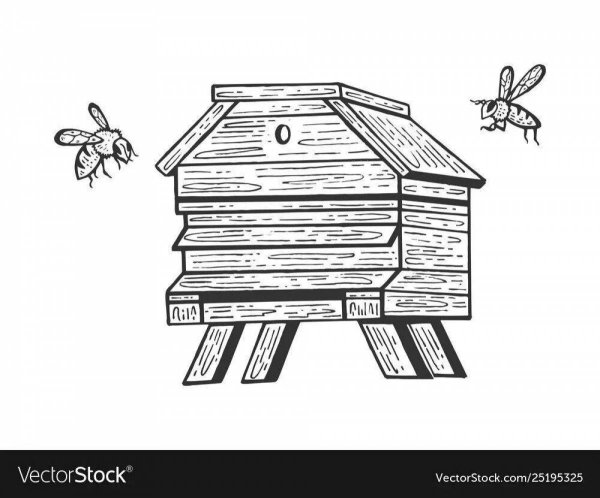 Улей раскраска для детей