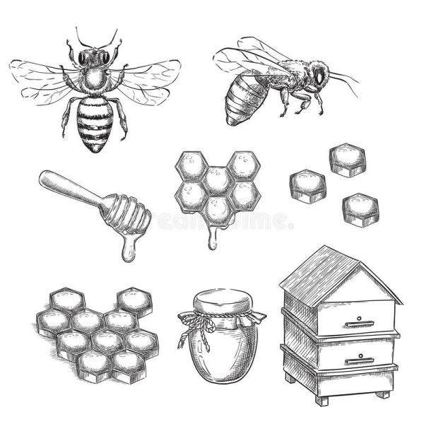 Улей картинка для детей