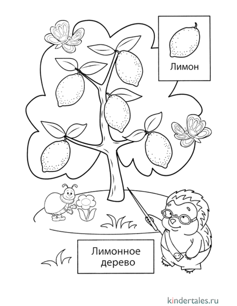 Фруктовые деревья задания для дошкольников
